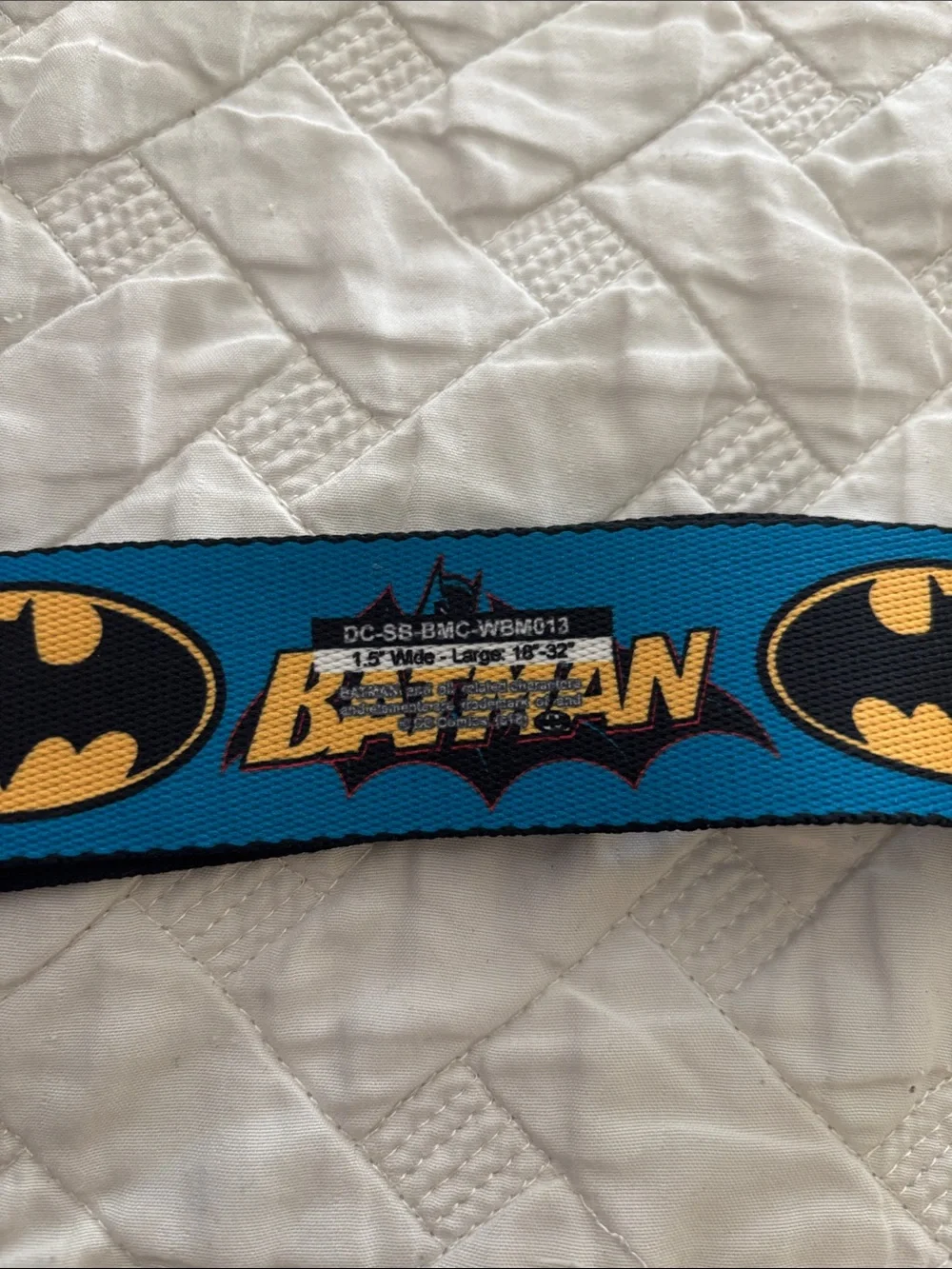Batman Logo Blue Seatbelt-Style Dog Collar